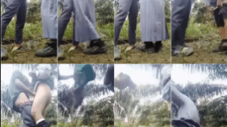 ABG Viral 2025 The Warmth Of Love Indo Viral Video Abg Seragam Bolos Sekolah Demi Merasakan Tarikan Nafas di Kebun Sawit Top Global Wikwik Hijab Inara